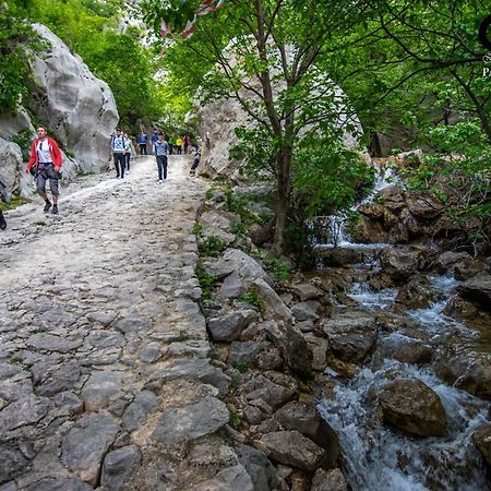 Apartment Maca Starigrad Paklenica Εξωτερικό φωτογραφία